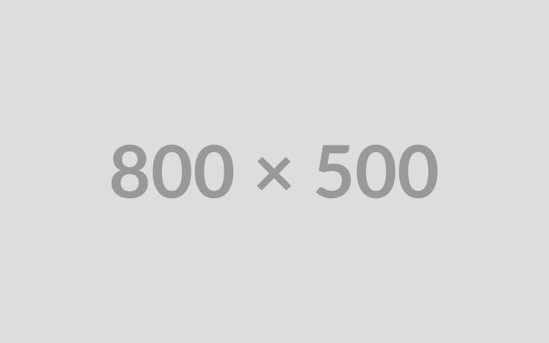 Lessons from My First Web Development Job